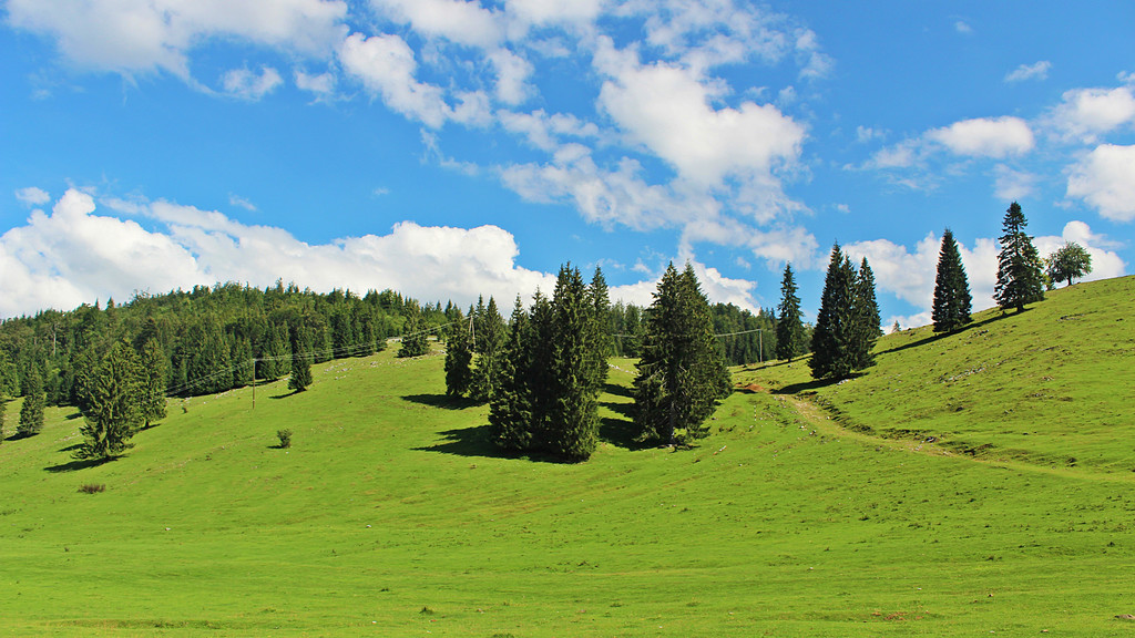 Napsütéses augusztus