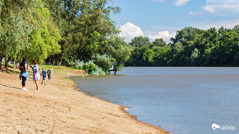 Árad a Tisza