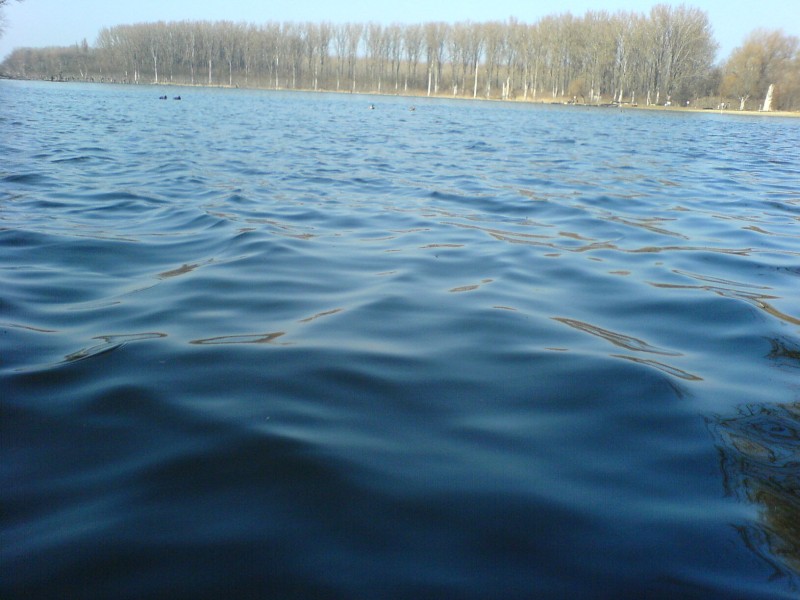 Fodros víz a mártélyi holtágban II