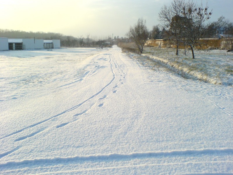 2007 első havazása Hódmezővásárhelyen I.