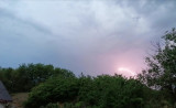 Nyírvasvári