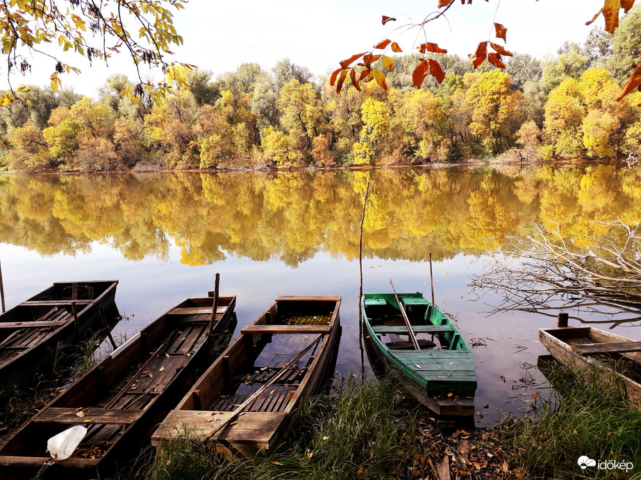 Körtvélyes Holt-Tisza
