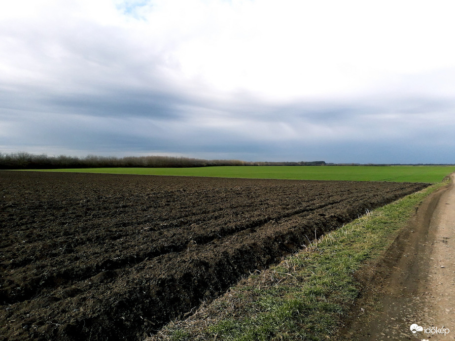 Tompapuszta délben.