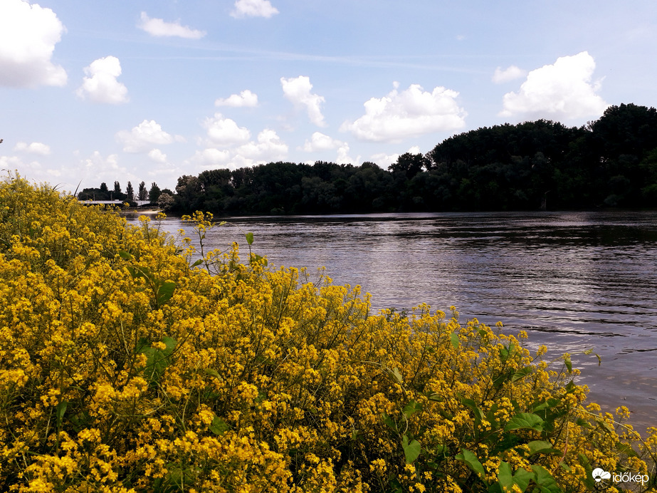 Szeged délután.
