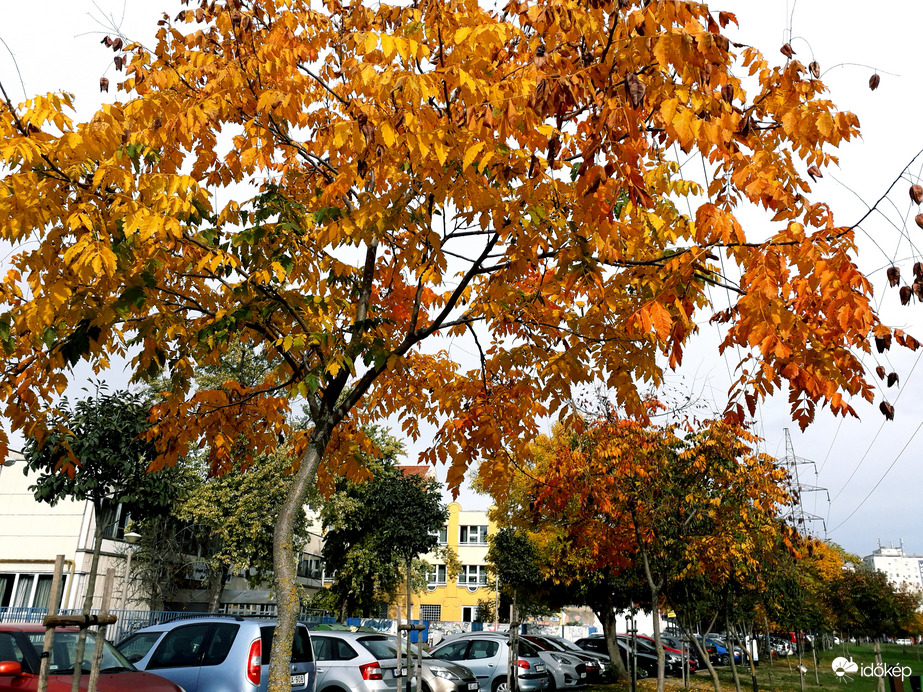 Szeged most.