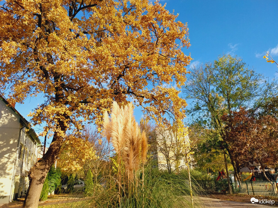 Szeged reggel.