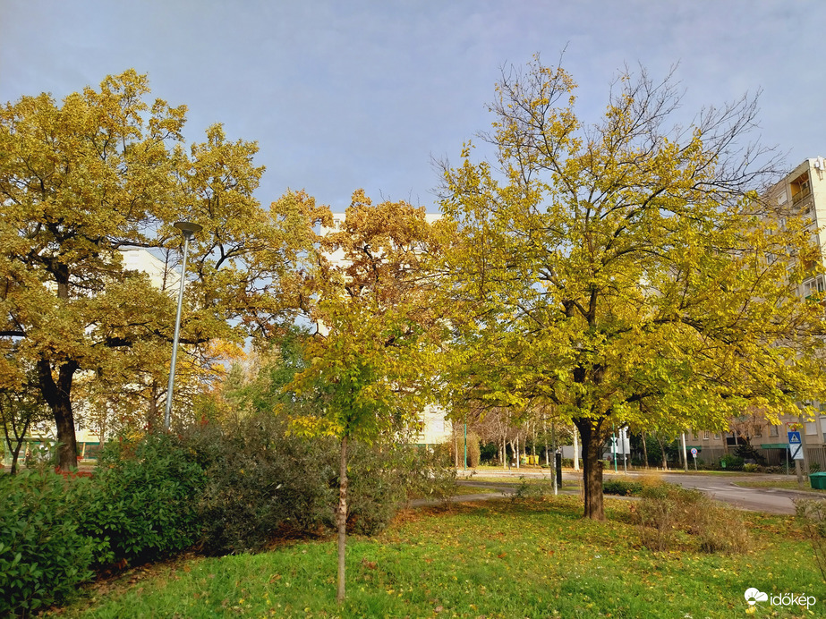 Szeged délelőtt.