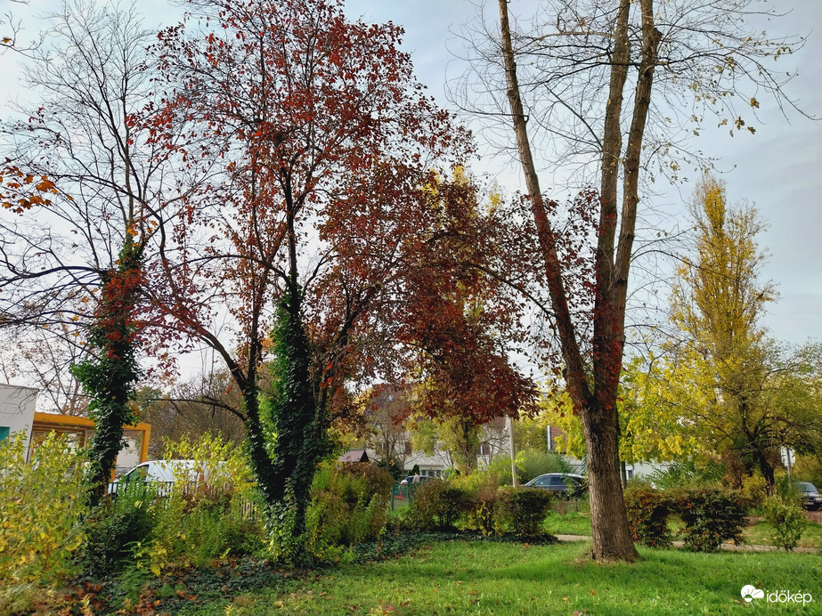 Szeged délelőtt.