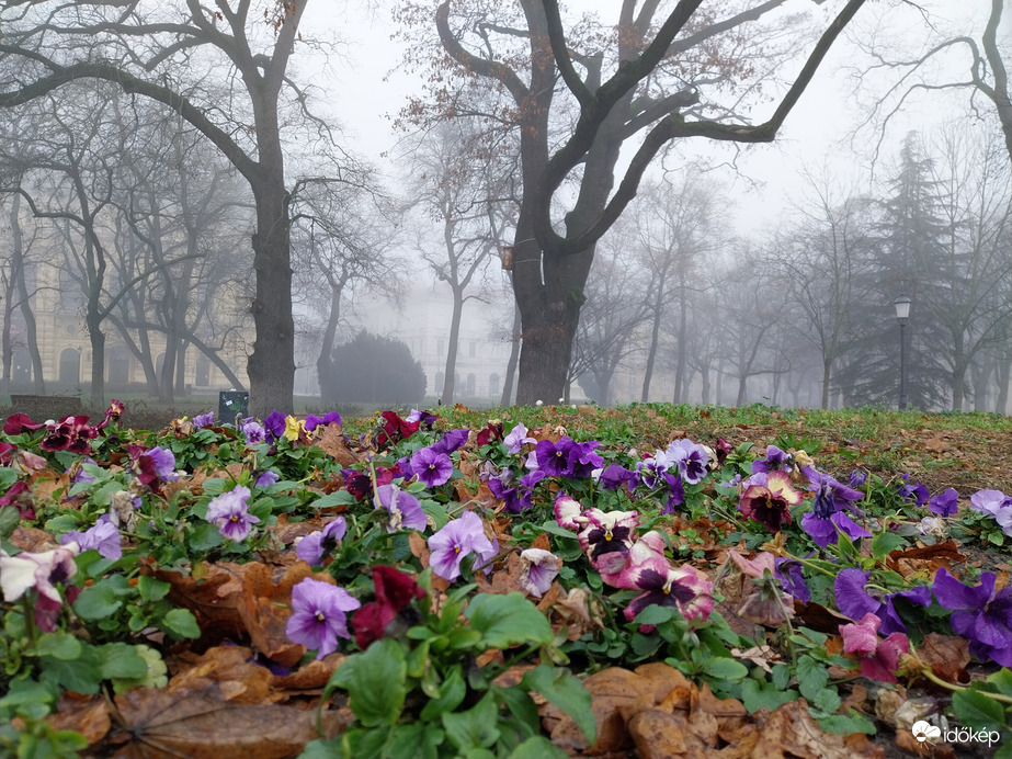 Szeged délelőtt.