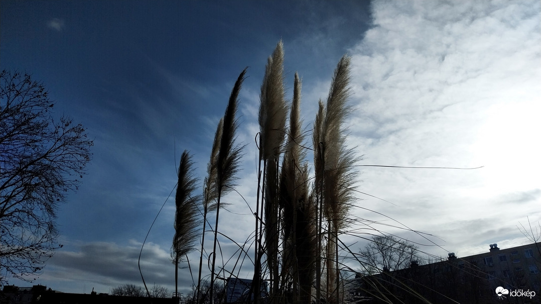 Szeged délelőtt.