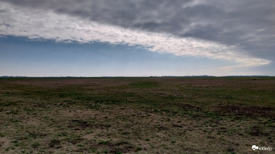 Bogárzó délelőtt.