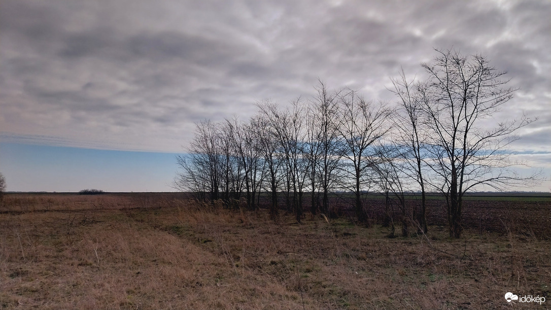 Bogárzó délelőtt.