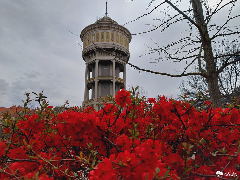 Szeged délután.