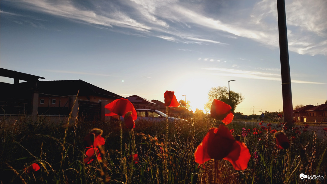 Napfelkelte Szeged.