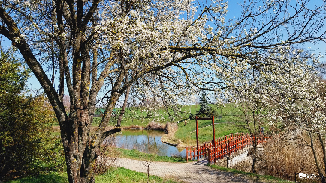 Szeged