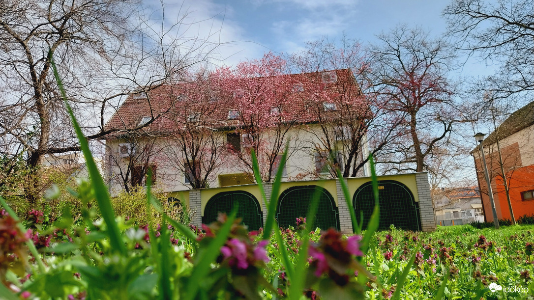 Szeged