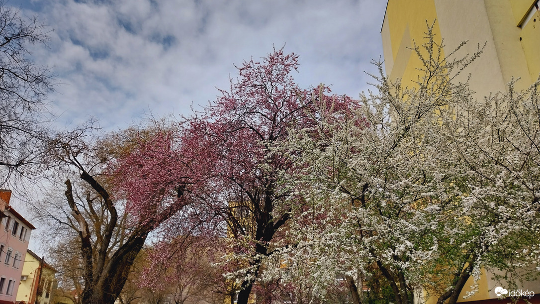 Szeged