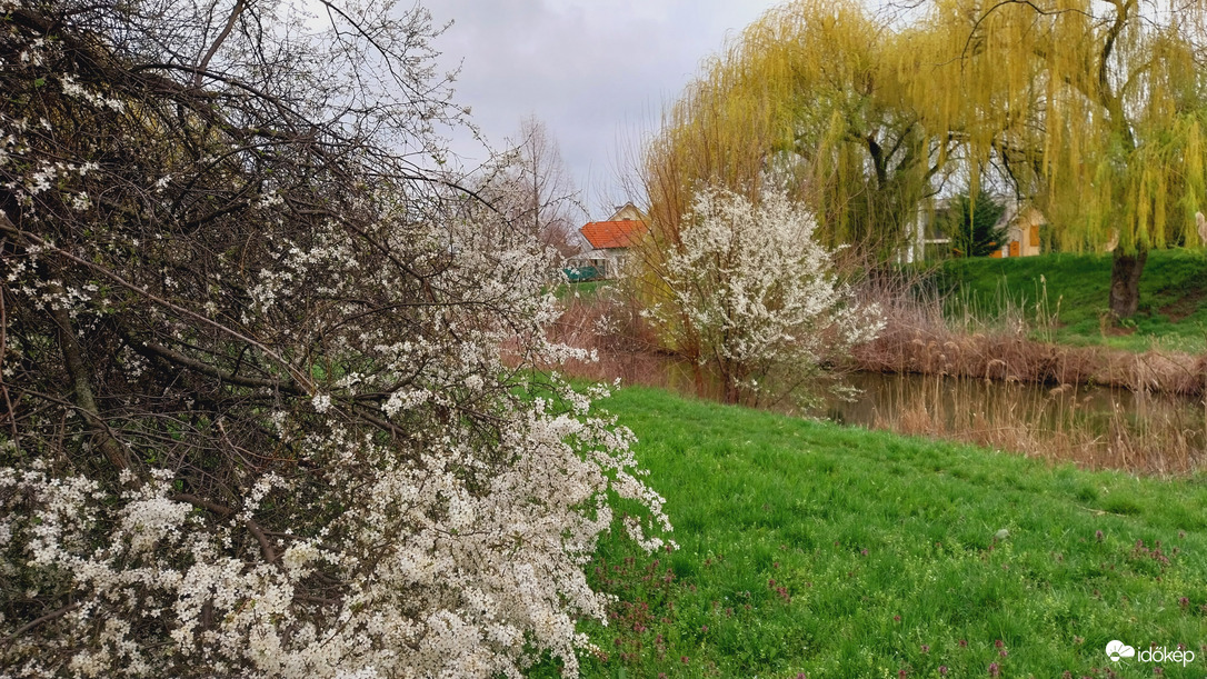 Szeged