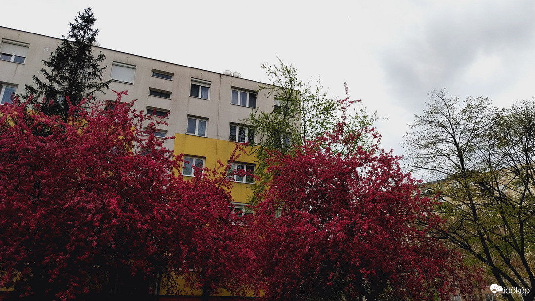 Szeged