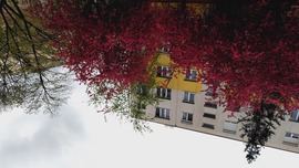 Szeged