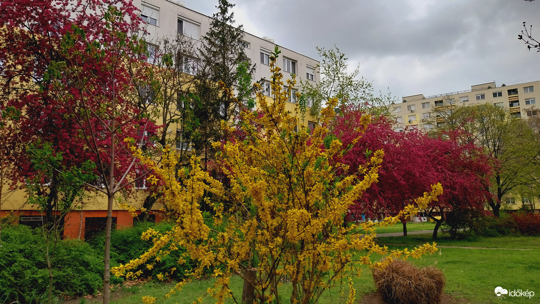 Szeged