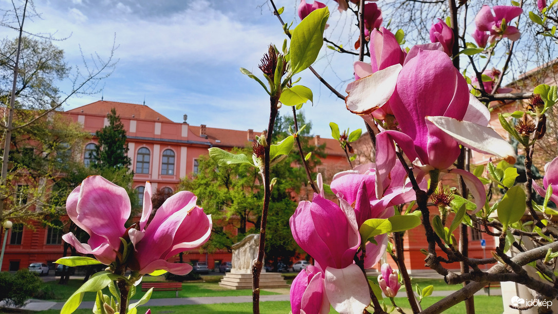 Szeged
