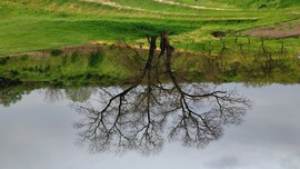 Algyő 