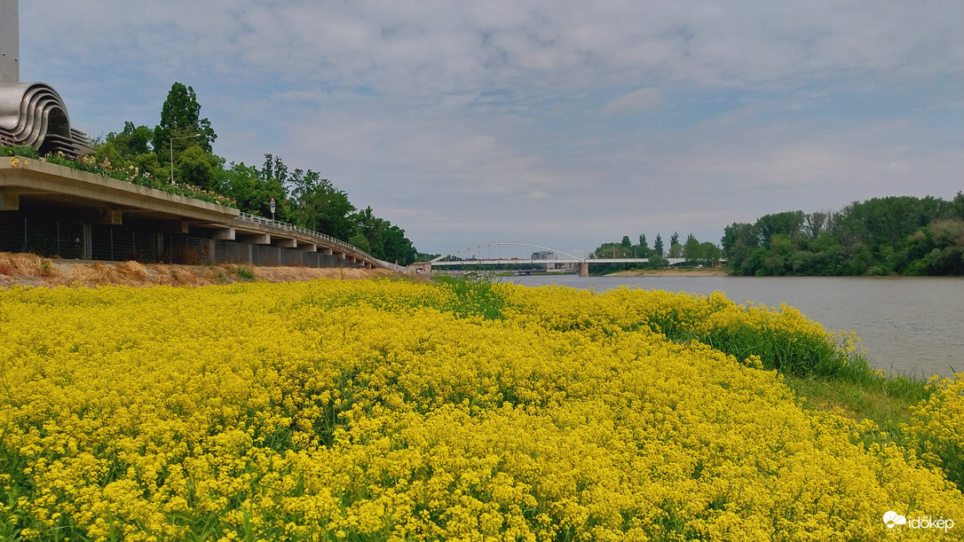 Szeged
