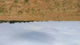 Szeged