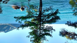 Thassos