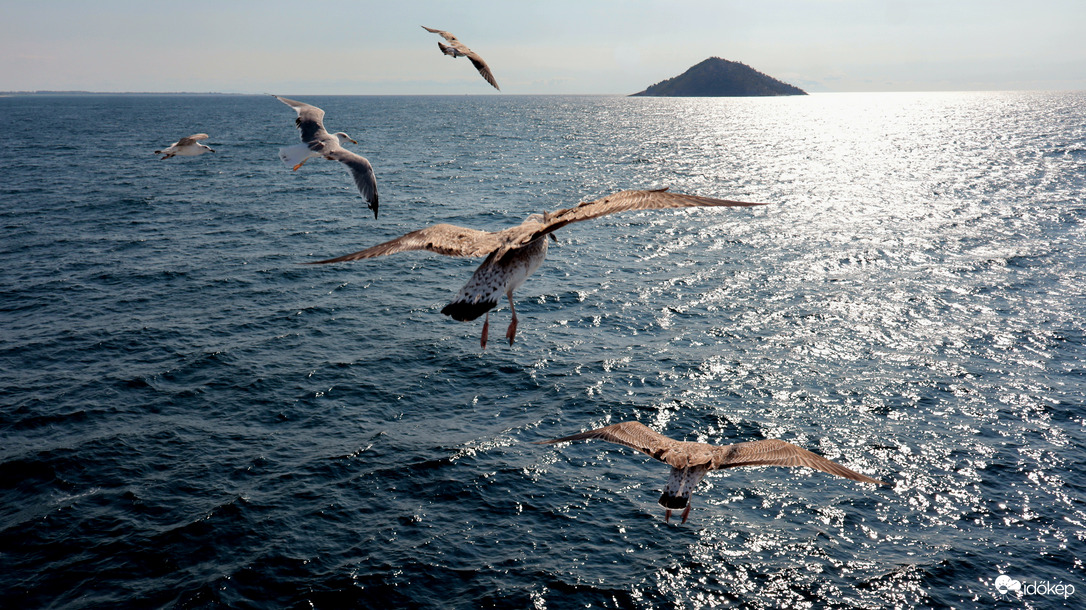 Thassos
