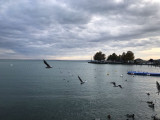 Balatonfüred