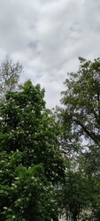 Tatabánya