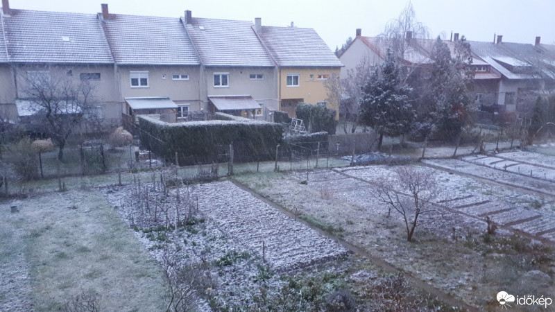 Pápa
