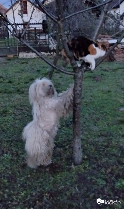 Karácsonyi mókázás