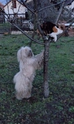 Karácsonyi mókázás