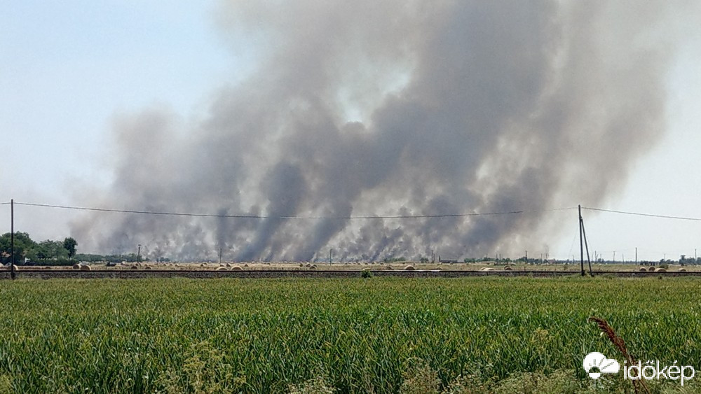 Hódmezővásárhely