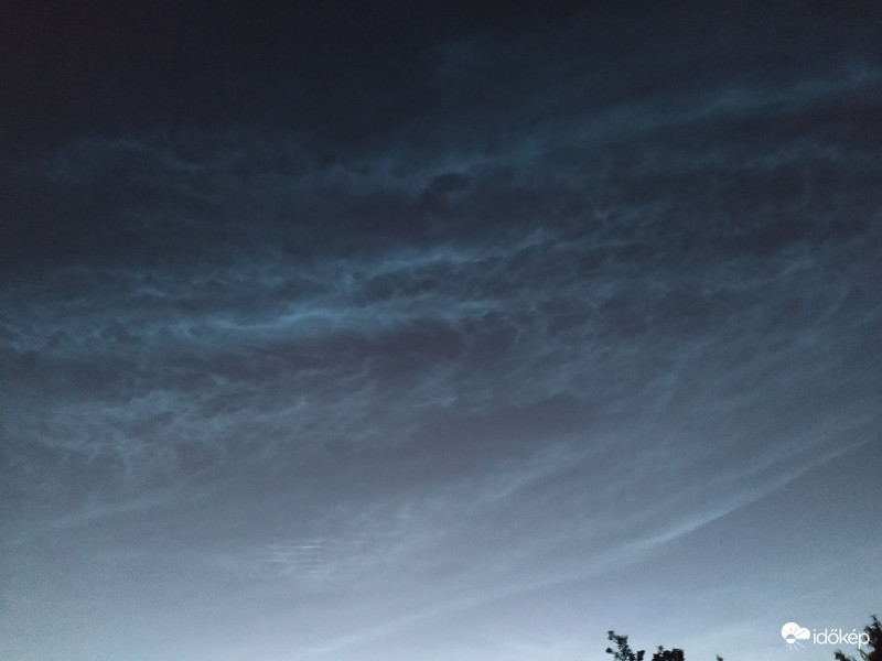Nlc