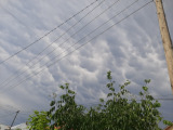 Tornyospálca