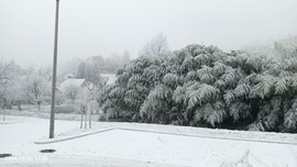 Veszprém ipari havazás 2024.12.31