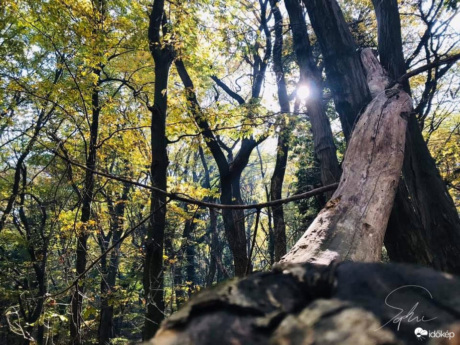 Badacsonyban valahol