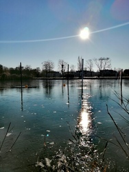 bakterologus fotója