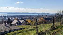Balaton