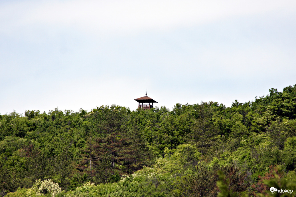 balatonfan fotója