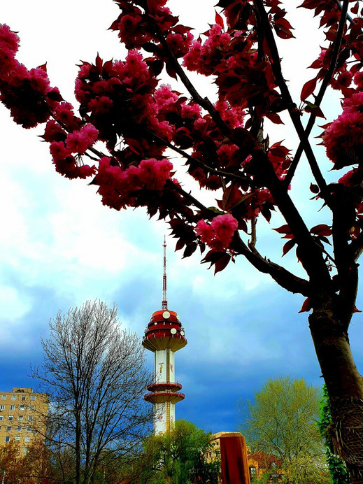 Szeged