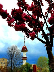 Szeged