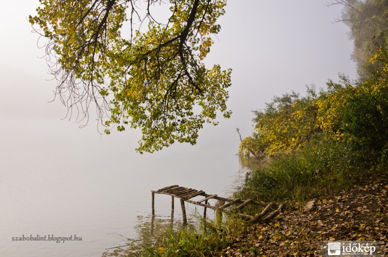 Ma reggel a Tisza partján.