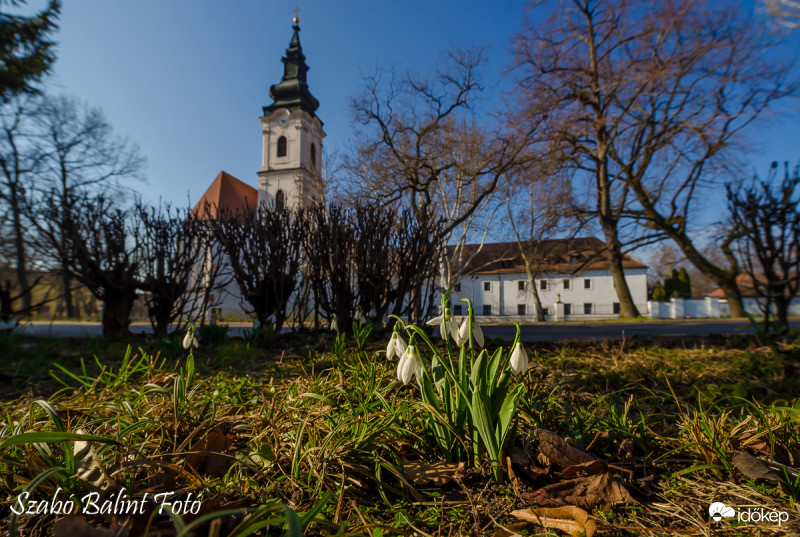 Szegedi tavasz