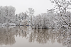 A Tisza és a Maros találkozása Szegednél