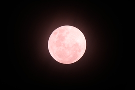 Full Pink Moon